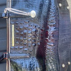 Brahmin Purse