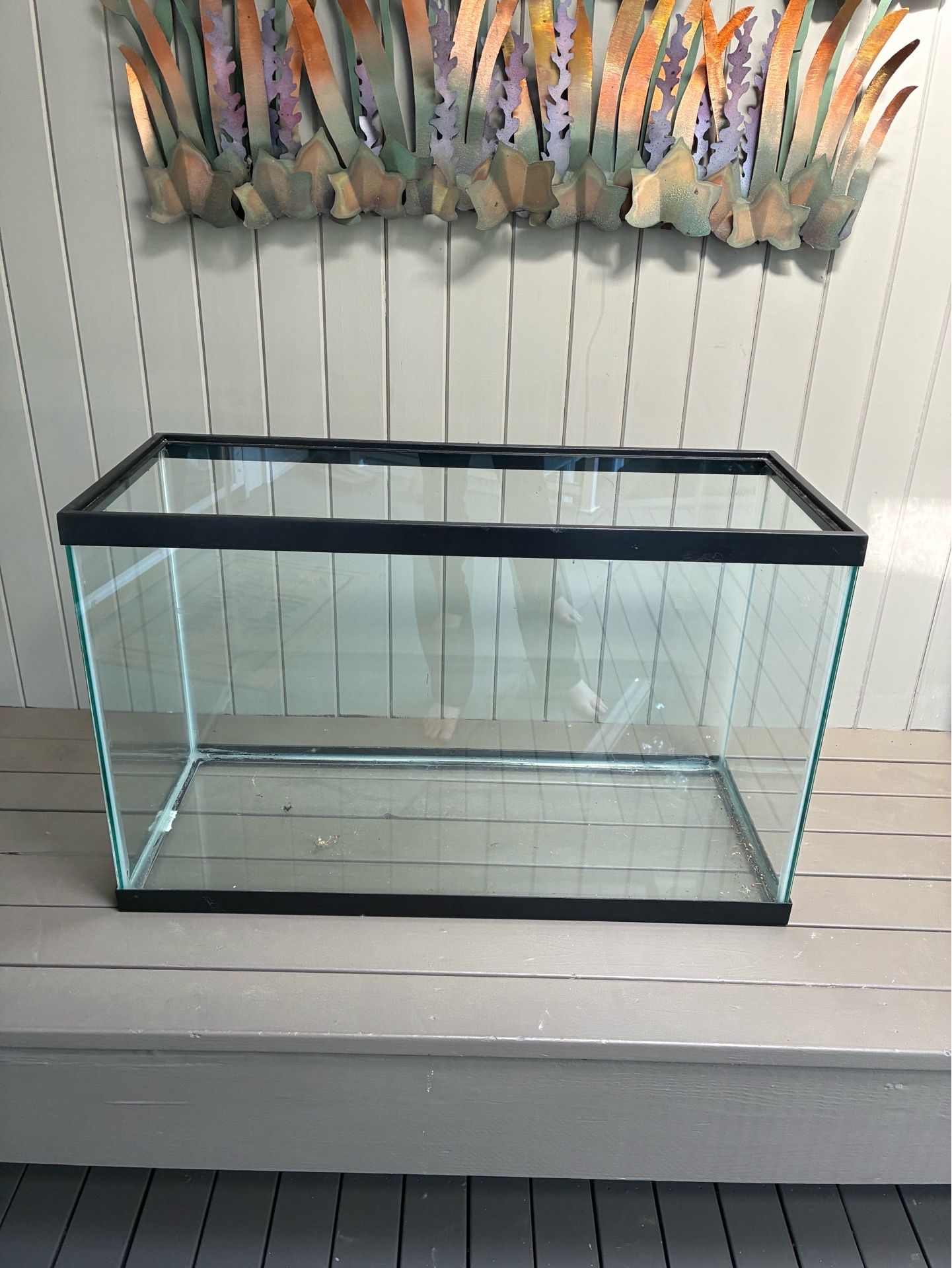 29 gallon aquarium
