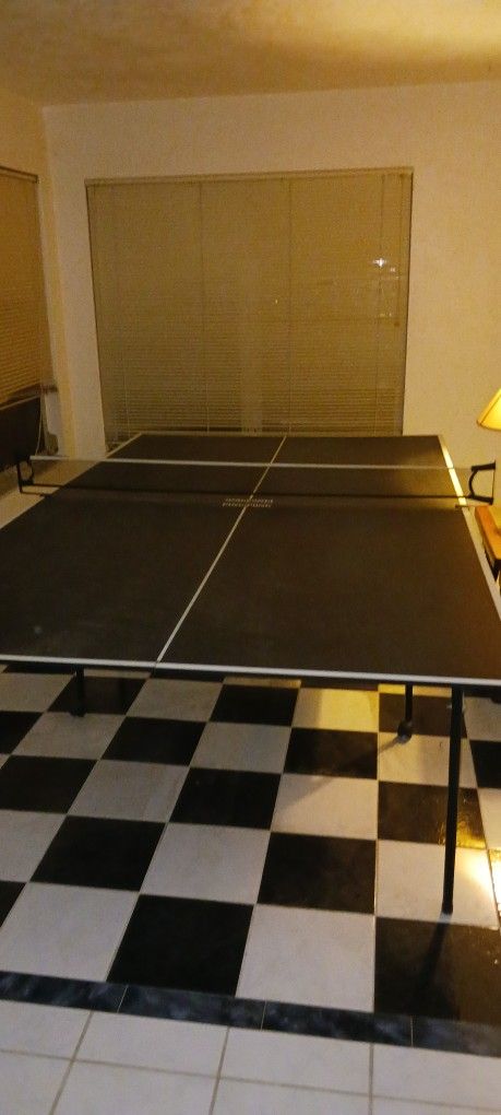 Ping Pong Table