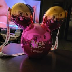 Disney  Popcorn Bucket 