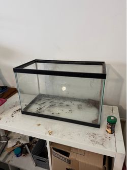 Tank