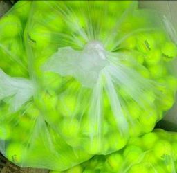 50 Used Tennis Balls for $25