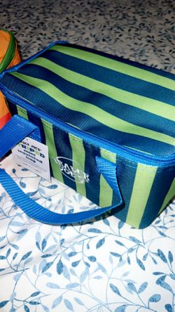Trader Joe’s Stripped mini Insulated Bag
