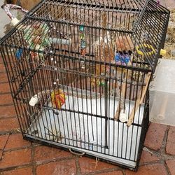 Iron Bird Cage