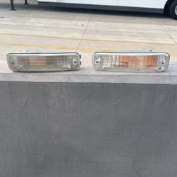 Integra Turn Signal Lights