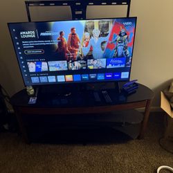 Vizio Tv 50in