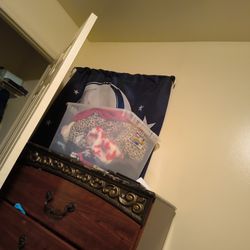 Tote Of Kids Girls Clothes 2t To 6t 