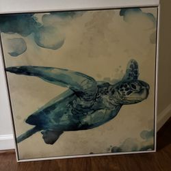 Sea Turtle Hanging Photo