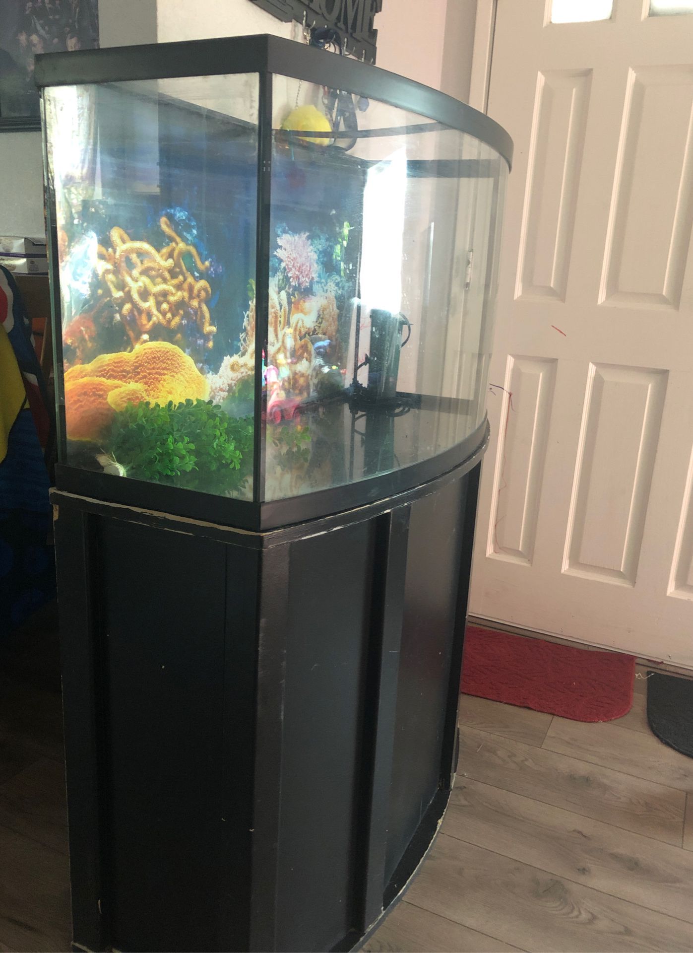60 gallon bowed fish tank with stand