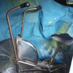 Schwinn Exercise 