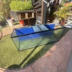 100 Plus Gallon Fish Tank