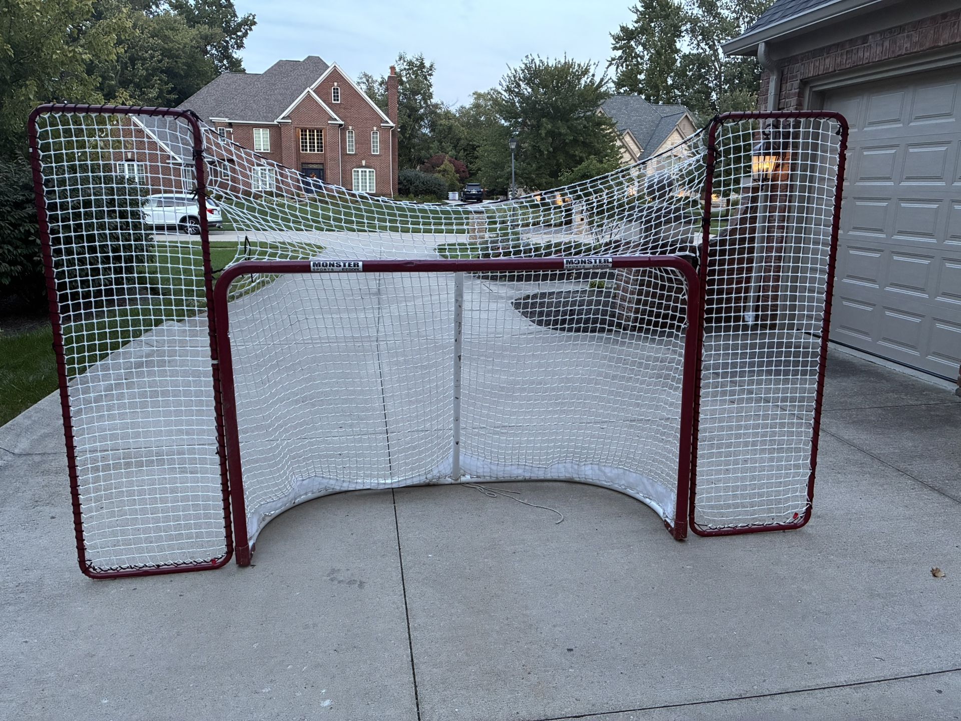 EZ Hockey Goal