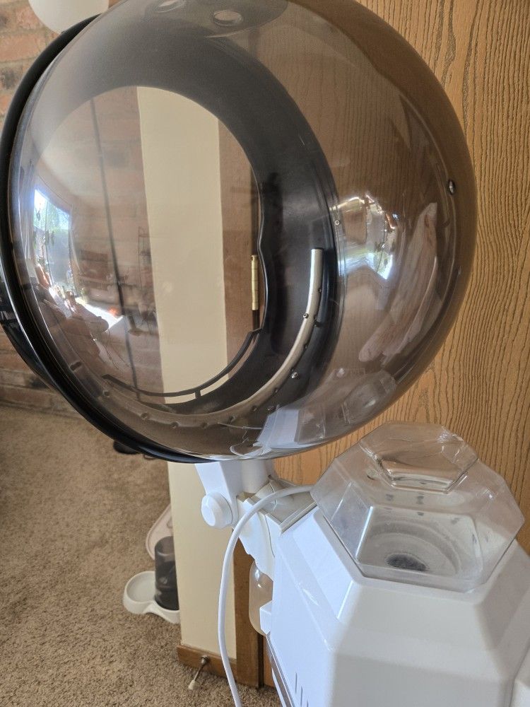 Pro Hair Steamer