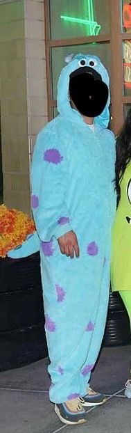 Monsters inc Sully costume