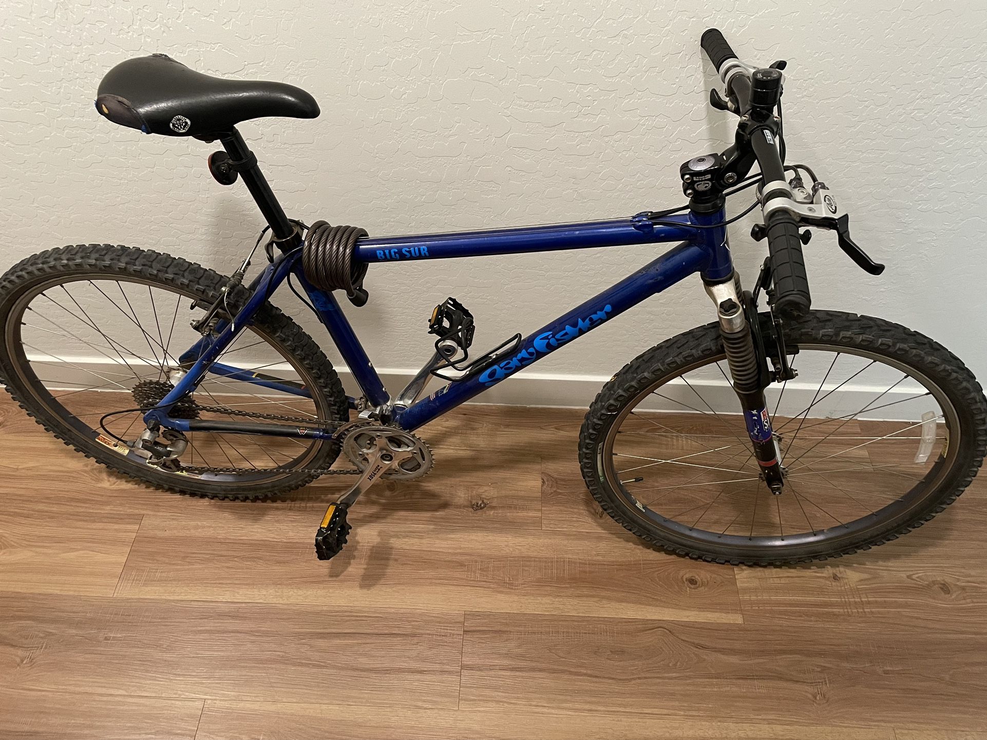 Gary Fisher Big Sur