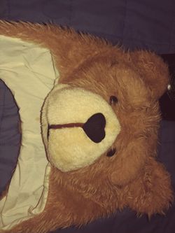 Halloween. Costume- TED