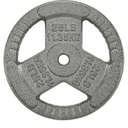Cast Iron 25 lbs Plate Weight for Strength & Weightlifting- Standard 