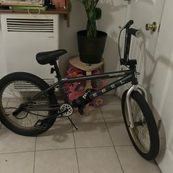 Rebel Moongoose bike