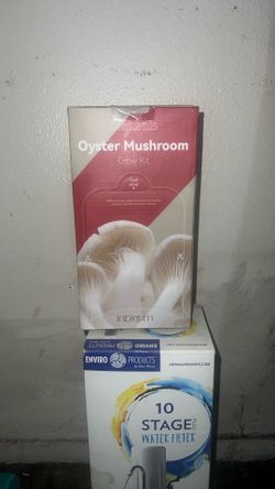 Inbloom Organic Oyster Mushroom Grow Kit