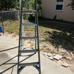 Werner 6 ft blue fiberglass step ladder
