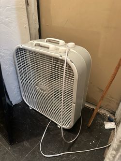 Fans