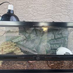Reptile Tank