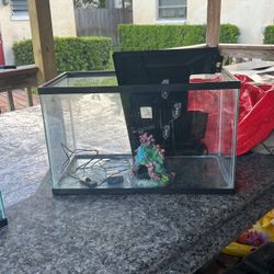 10 Gallon Tank