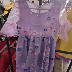 Disney Encanto Isabela Madrigal costume dress with sheer sleeves and a floral prin