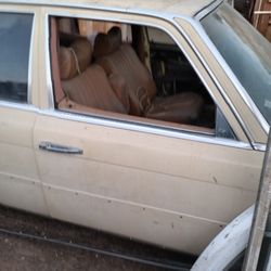 Social Distortion Guitarist Owned TurboDiesel