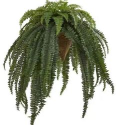 Artificial Giant Boston Fern