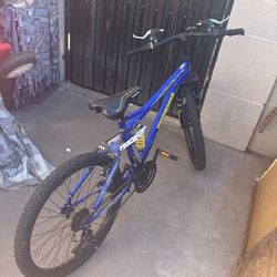Mongoose Ravage Mountain Bike