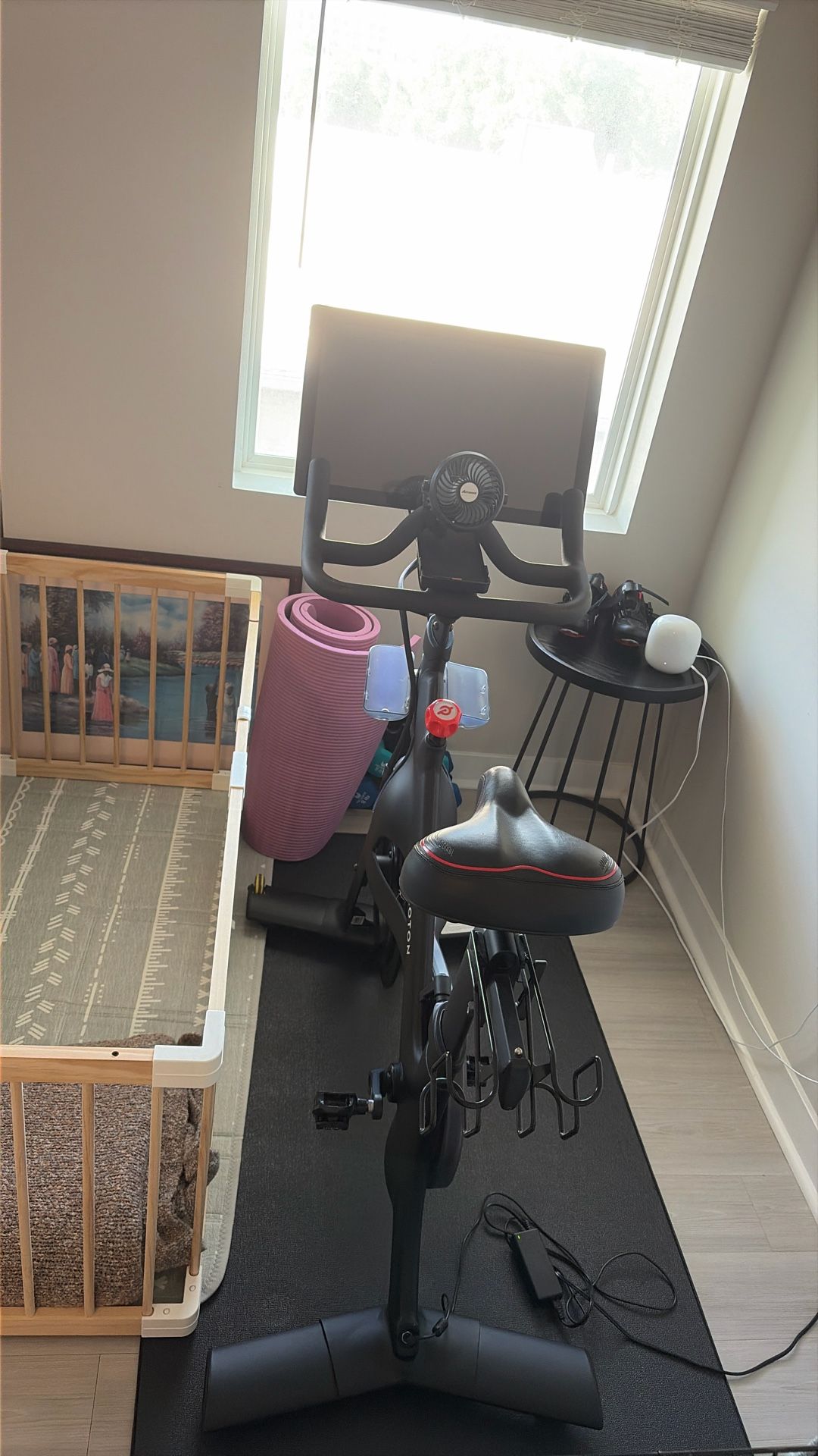 Peloton For Sale