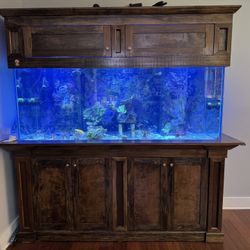 Aquarium Reef Ready Saltwater, Fresh Water