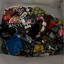 Box Of Random Keychains