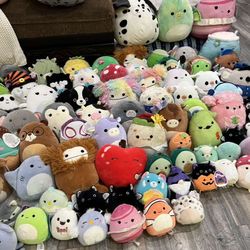 Squishmallow’s