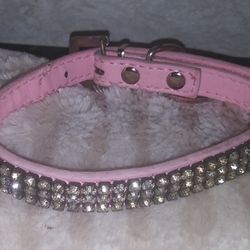 Cat Collar 