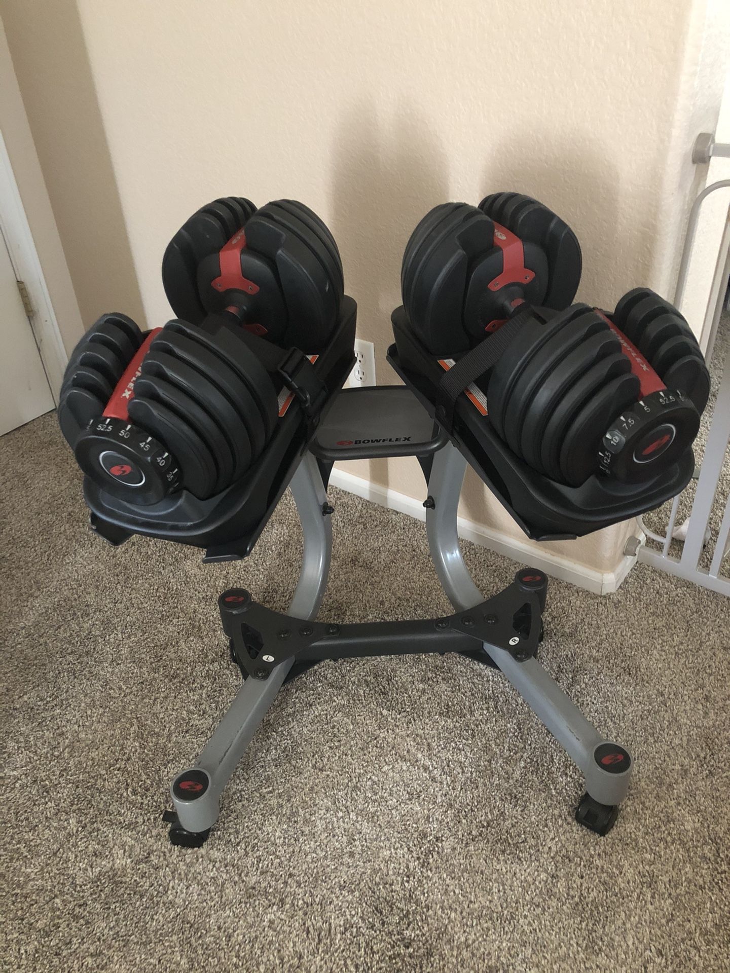 Bowflex Adjustable Dumbbells