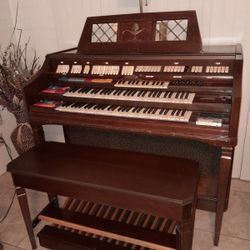 Organ