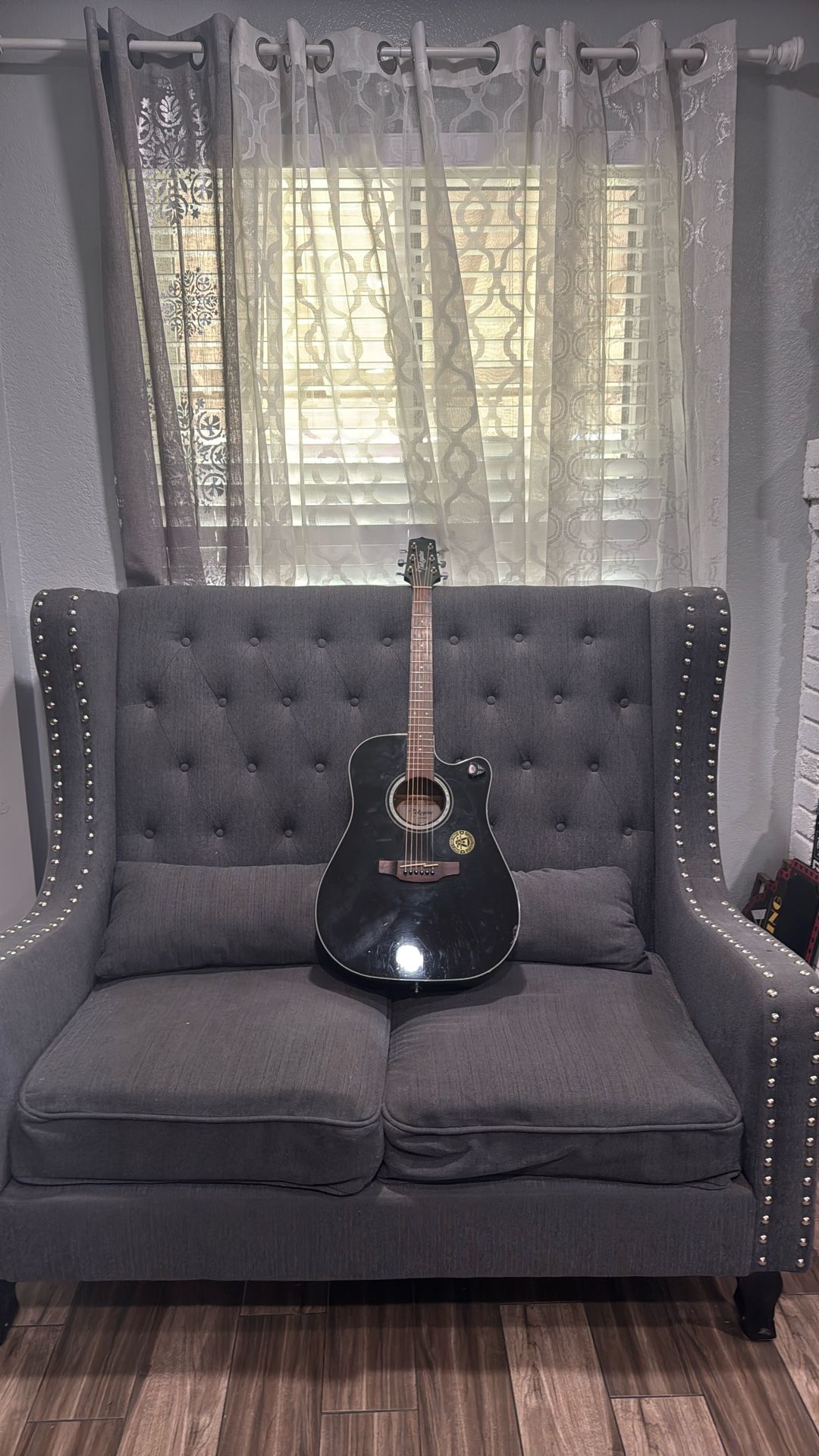 Takamine 6 String G Series