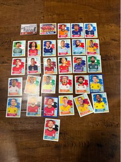Panini World Cup Stickers