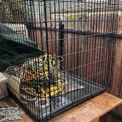 Dog Kennel