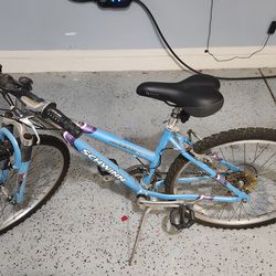 Schwinn mountain bike