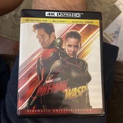 Any-Man and The Wasp