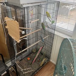large budgie cage