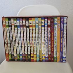 Diary of a Wimpy Kid book set (21 of the books)