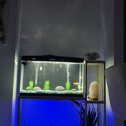 29 Gallon Fish Tank With Stand