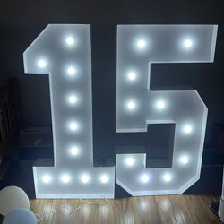 15 Light Up Number
