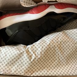 Bred 11 Low