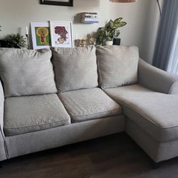 Pull Out Sectional couch