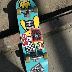 Skate Board 